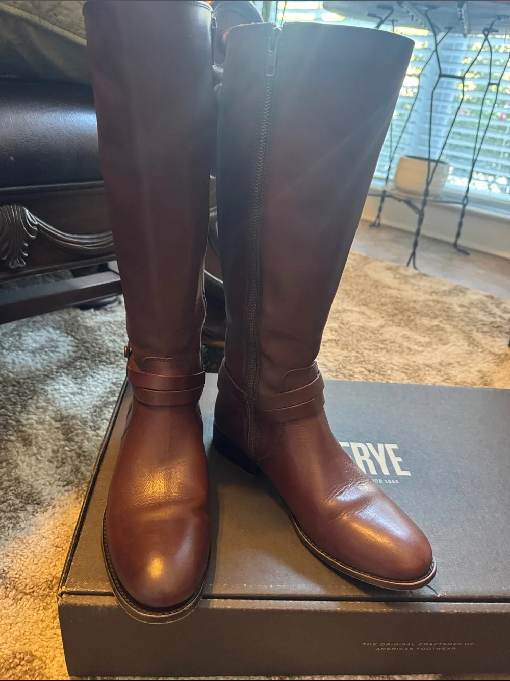 Frye Women's Melissa Belted Tall Riding Boots in Dark Brown Leather
